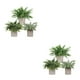 thumbnail image 4 of Matsuzay 3 unids/set belleza de la naturaleza en interiores con pequeñas plantas artificiales de eucalipto decoración del hogar de bajo TZ055 2Conjunto, 4 of 6