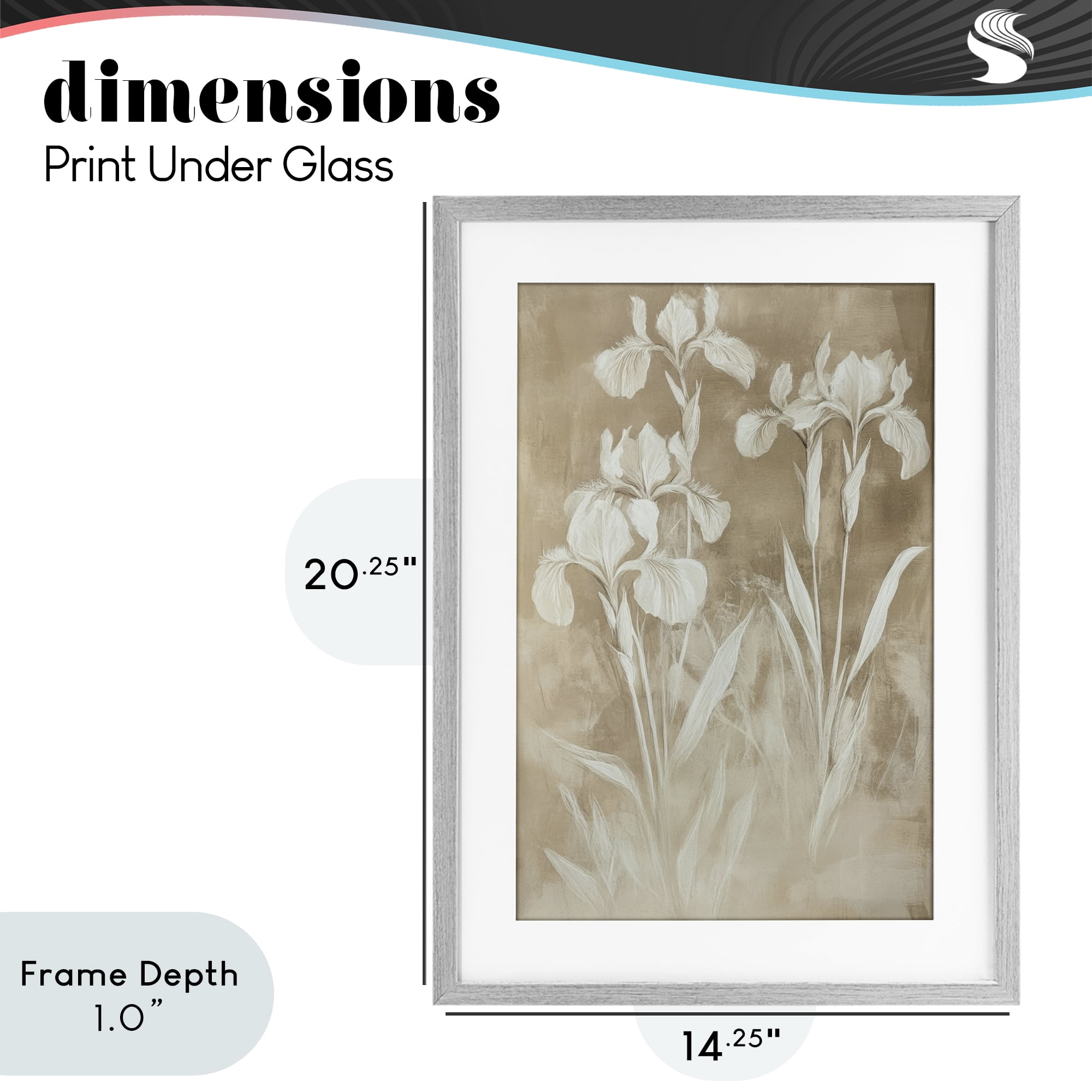 Stupell Industries Neutral Iris Botanical Study Gray Framed Print Under Glass, design by Petal Prints Design