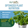 thumbnail image 6 of HyR BRIX All-Purpose Liquid 4-3-3 Fertilizer, 2.5 Gallons - Fast-Acting Plant Food with Micronutrients, Humic & Fulvic Acids - Ideal for Vegetables, Flowers, Fruits & Houseplants, 6 of 7