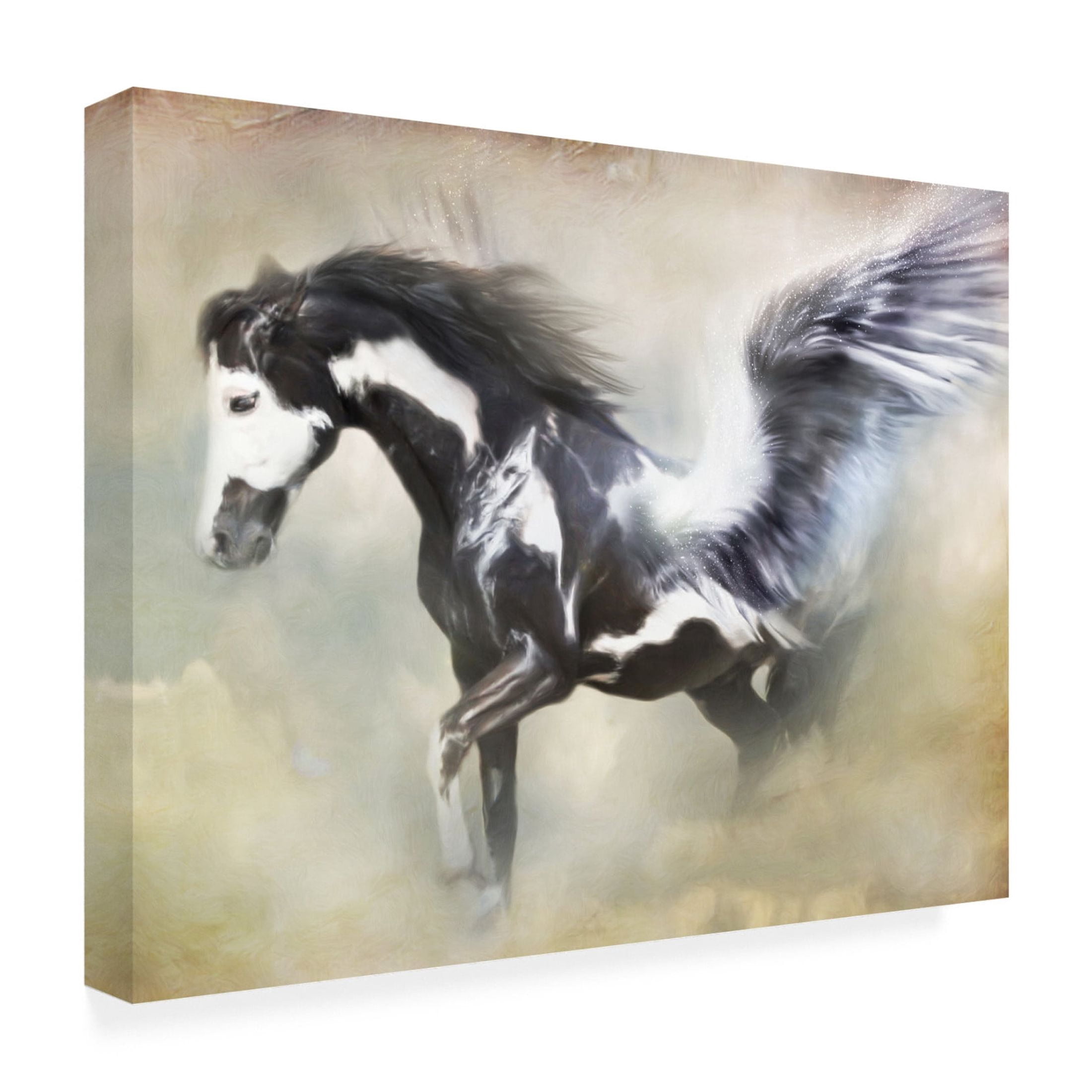 Canvas Wall Art - Trudi Simmonds 'Pinto Pegasus' Wall Art for Living Room, Bedroom, or Office Décor by Trademark Fine Art - 47 x 35 Inches