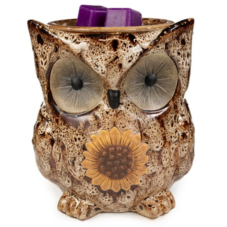 Scentsationals Wax Melt Warmer, Wax Warmer for Scented Wax Melts - Animal Collection Spotted Owl - Candle Wax Melter for Fragrance Cubes and Tarts