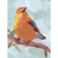 thumbnail image 2 of Parker, Jennifer Paxton 12x14 White Modern Wood Framed Museum Art Print Titled - Painted Songbird III, 2 of 4
