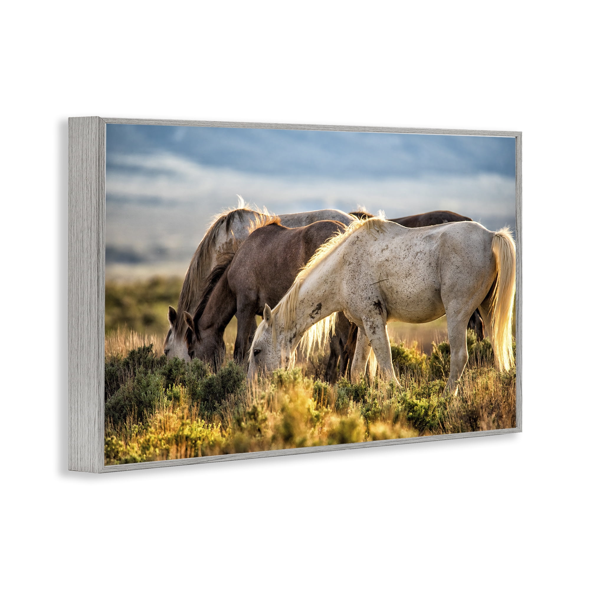 Stupell Industries Equine Evening Graze Gray Framed Giclee Art, design by Tim West
