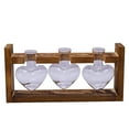 thumbnail image 2 of Terrario con soporte de madera para plantas, jarrón de vidrio con forma de bulbo, de metal, giratorio, retro, para hidroponía, hogar, jardín, oficina, decoración (jarrón de 3 bulbos), 2 of 7