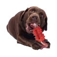 thumbnail image 1 of Jouets à Mâcher pour Chiens, Outil de Nettoyage des Dents de Chiot, Os à Mâcher Résistant, 1 of 5