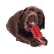 thumbnail image 1 of Huesos para masticar para perros, juguetes para cachorros, herramienta de limpieza de dientes, juguetes resistentes y fuertes para masticar huesos, 1 of 5
