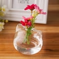 thumbnail image 4 of Binwennn Desktop Cat Shaped Vase Small Glass Vase Breeding Station Rack Suitable For Home Wedding Decoration Flower for outside Balcony Flower inside Extra Large Flower Outdoor Large Flower for Indoor, 4 of 7
