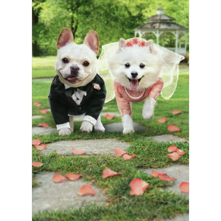 Avanti Press Bride And Groom Dogs Running Funny Wedding Card