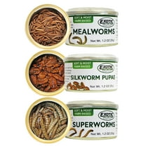 Canned Insect Assortment (3 Pack)-  Healthy High Protein Insect Treat for Hedgehogs, Sugar Gliders, Reptiles, Wild Birds, Chickens, Lizards, Bearded Dragons, Skunks, & Other Small Animals