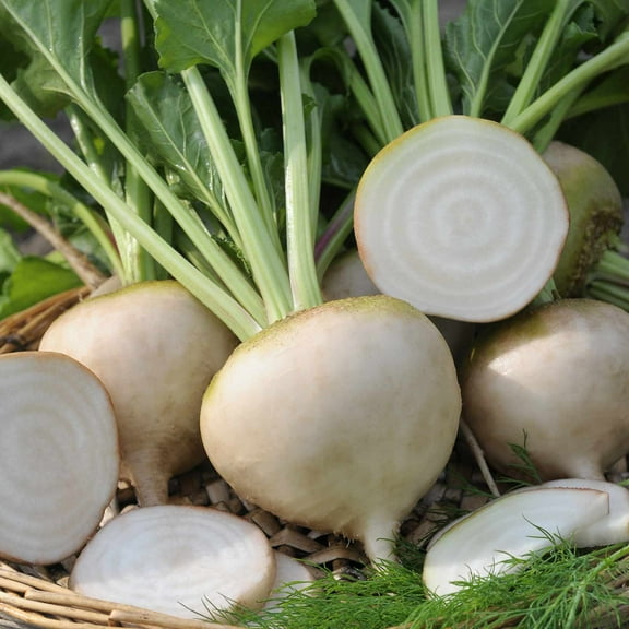 Detroit White Beet Garden Seeds - 1 Oz - Non-GMO Vegetable Gardening & Microgreens Seeds