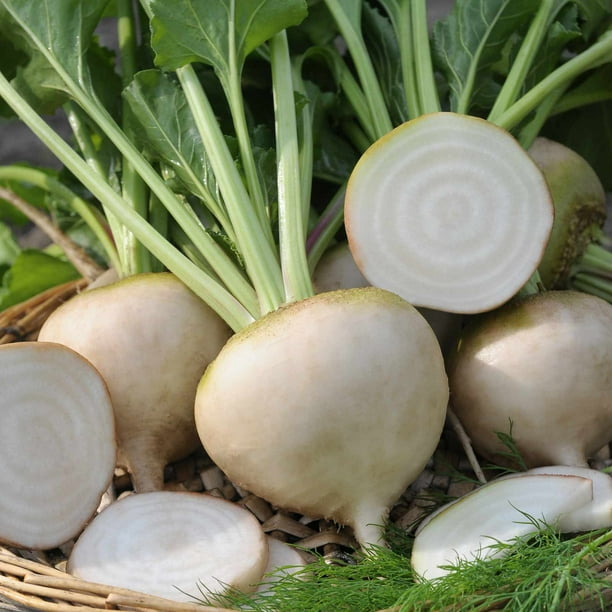 Detroit White Beet Garden Seeds 3 g Packet 125 Seeds NonGMO