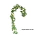 thumbnail image 3 of Eucalipto artificial, vegetación colgante falsa con detalles florales y hojas de sauce, decoración flexible de 78,74 pulgadas de largo para pared interior, hogar u oficina de temática nórdica., 3 of 9