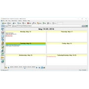 AnyTime Organizer Standard 16