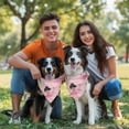 thumbnail image 3 of Dog Bandana 1 Pack,Ballet Princess Pattern Bandanas for Dogs,Cat Bandana,Small/ Large Dog Bandana 2 Size,Dog Bandanas, 3 of 6