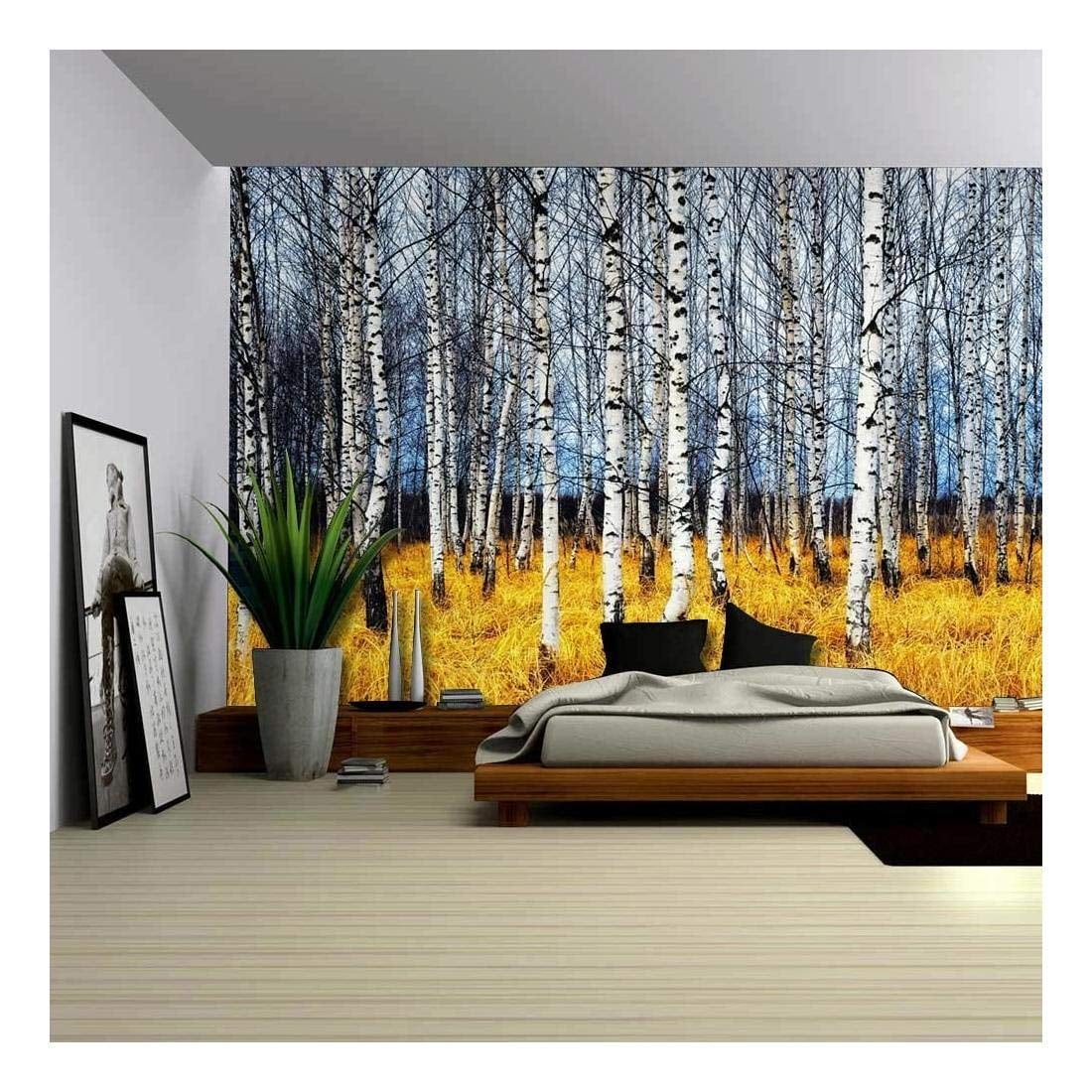 wall26 Removable Wall Sticker/Wall Mural 36x48 Birch Trees in Bright Sunshine in Late Summer Creative Window View Home Decor/Wall Decor