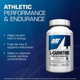 thumbnail image 6 of GAT Sport Essentials Liquid L-Carnitine 3000, Blue Raspberry, 16 oz, 32 Servings, 6 of 6