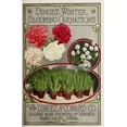 thumbnail image 2 of Vintage Apple Collection 11x14 White Modern Wood Framed Museum Art Print Titled - Winter Carnations, 2 of 4