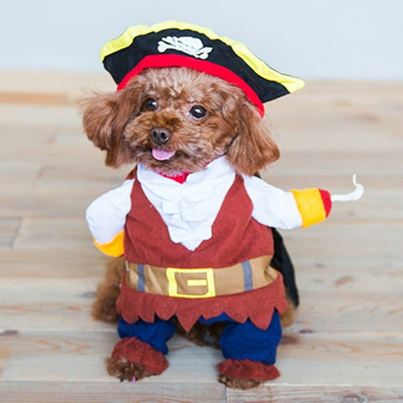 Plusieurs Tailles Costume de Chat Pirate, Chat Durable Petit/moyen/grand pour Festival/fête de Chien Petit/moyen/grand pour Déguisement/fête
