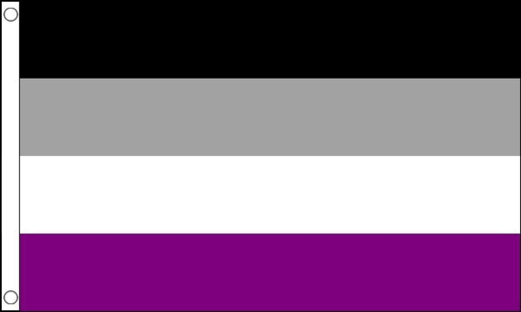 Asexual Rainbow Pride 5x3 Flag 5x3 1500mm X 900mm By Top Brand Usa