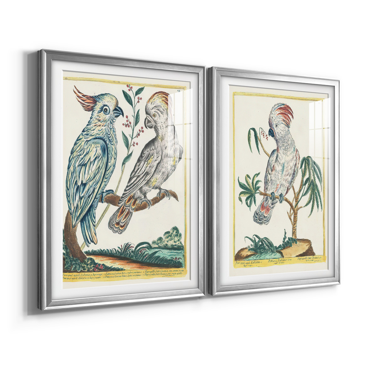 Wexford Home Pastel Birds I Premium Framed Print, 30.5" x 42.5" - Ready to Hang, Silver (Set of 2)