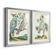 thumbnail image 2 of Wexford Home Pastel Birds I Premium Framed Print, 30.5" x 42.5" - Ready to Hang, Silver (Set of 2), 2 of 9