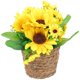 thumbnail image 1 of Faux Plant Bonsai Flowerpot Simulation Potted Plant Artificial Bonsai Ornament, 1 of 3