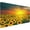 Sunflower Fields During Sunset, variant on Gaming Mouse Pad Large Desk Mat,Desk Pad Extended Keyboard Pad,Anti-Slip Rubber Base Mouse Pad for Women Girls Work,Game,Office,Home 35.4"X15.7",Star Handdrawn Doodle