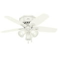 thumbnail image 2 of Hunter Builder Low Profile 42" Ceiling Fan with LED Lights and Pull Chain, White, 2 of 5