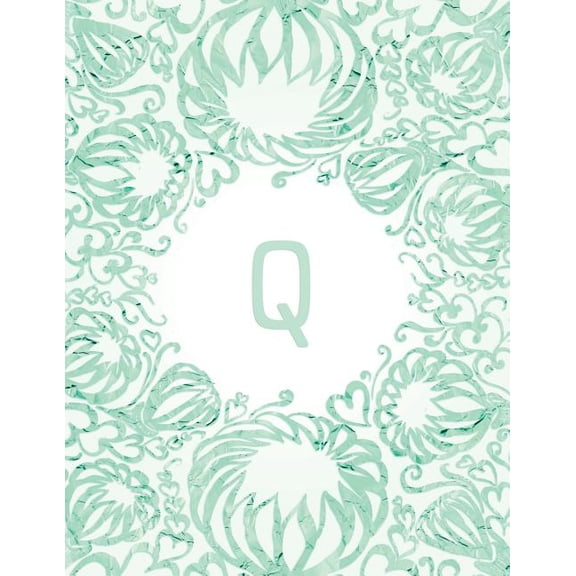 Q (Paperback)