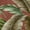 Spice, variant on Addison Rugs Mayfield Washable Tropical Leaves Midnight Rectangle Rug, 10' x 14'