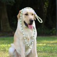 thumbnail image 5 of 150cm Adjustable Pet Walking Training Leash Wear-resistant Reflective Leads Rope For Medium Large Dogs brown leather orange + gray M-medium-sized dog, 5 of 5