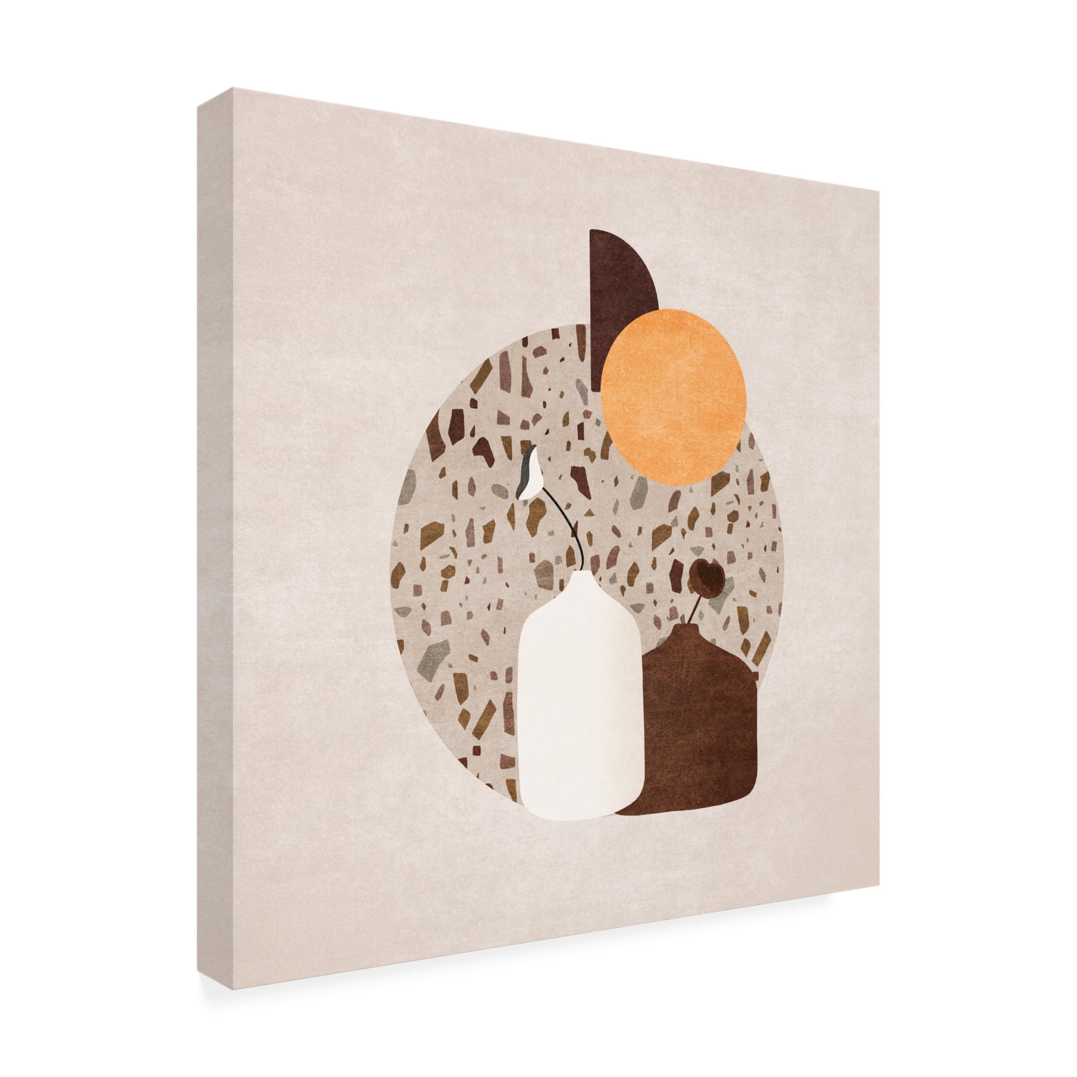 Trademark Fine Art Emel Tunaboylu Beyaz Ve Kahverengi Saksili Terazzo Canvas Wall Art