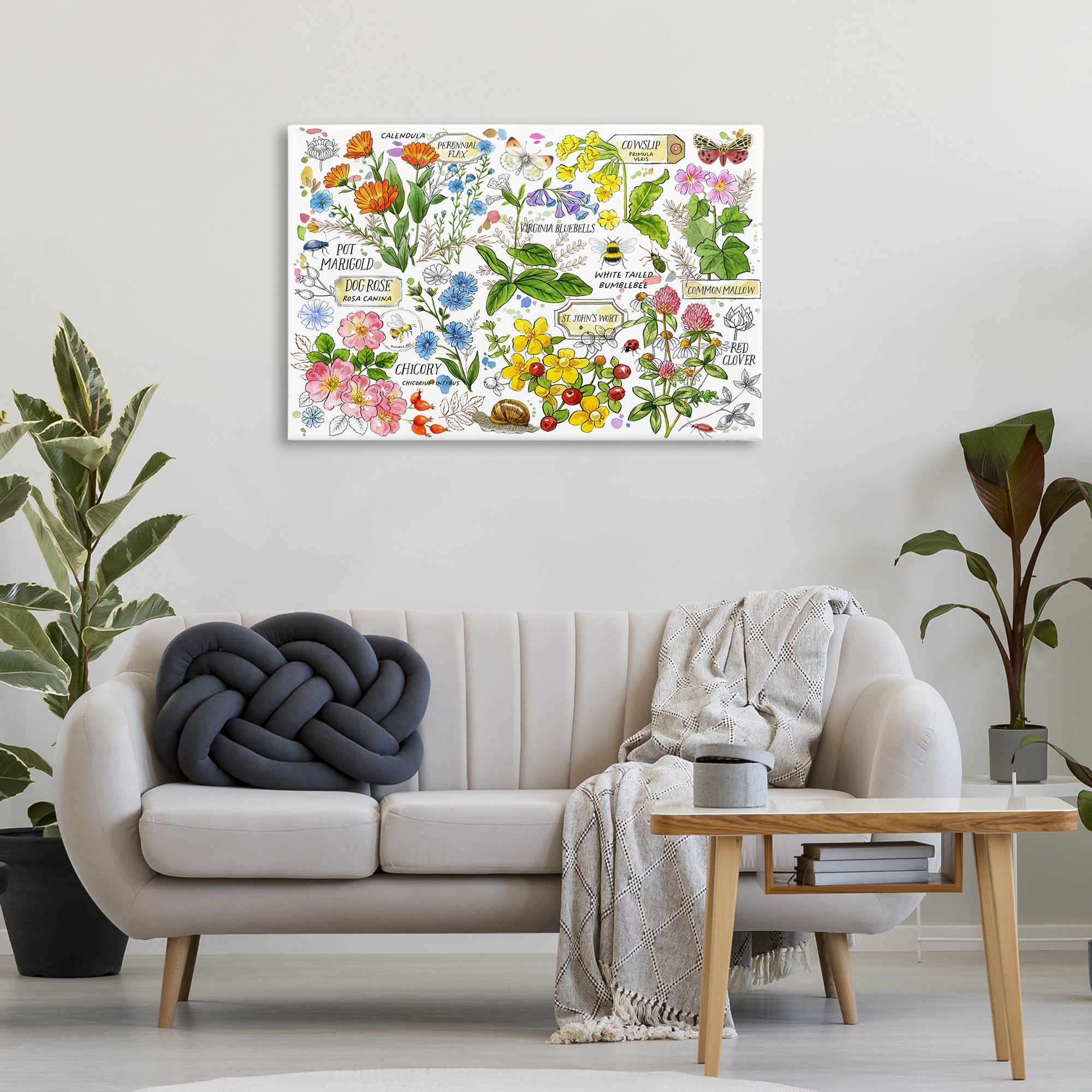 Stupell Industries Various Herbs Benefits Botanical & Floral Painting Gallery Wrapped Canvas Art Print Wall Art, 36 x 24