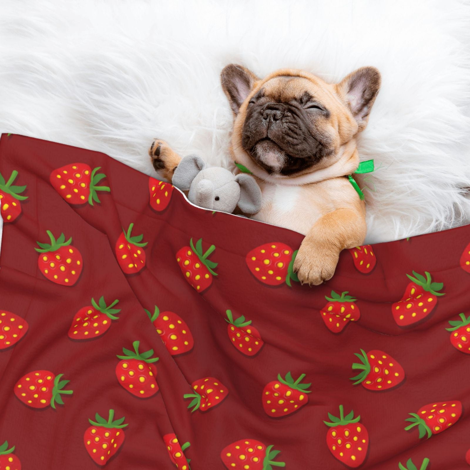 Naloa Strawberry Dog Blanket, 3 Sizes Cat Blanket for Indoor Cats Large Medium Small Dog Gifts-Small