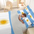 thumbnail image 5 of Manfei Argentinian Flag 7-Piece Twin Bedding,Blue White Yellow Bedding Comforter Set,Light Gray Reversible, 5 of 7