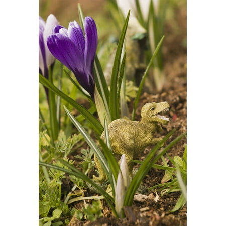 Crocuses in bloom in springtime with a dinosaur sculpture Astoria Oregon United States of America Poster Print by Robert L Potts  Design