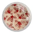 thumbnail image 1 of 4 Pcs Holly Berry Knobs for Kitchen Cabinet Cupboard Dresser Bookcase Drawer Pulls Handles Round Home Decor, 1 of 8