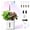 White, variant on 4 Pod 10W Full Spectrum LED Hydroponics Growing System, Auto Timer Smart Indoor Herb Garden 1L Water Tank for Home Kitchen Year-round Planting
