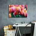 thumbnail image 4 of Epic Graffiti 'Big Love Tulips' by Clive Branson, Canvas Wall Art, 26"x18", 4 of 8