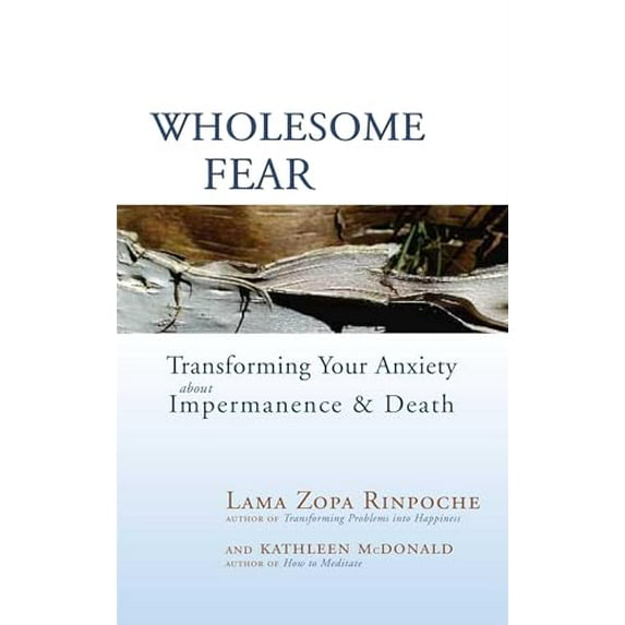 Pre-Owned Wholesome Fear: Transforming Your Anxiety About Impermanence and Death, 9780861716302, 0861716302, Paperback, Illustrated edition