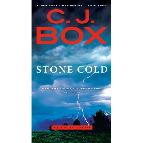 Pre-Owned Stone Cold (Mass Market Paperback) 0425272826 9780425272824