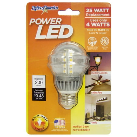 Lights of America 4W LED Globe Bulb, Regular Base
