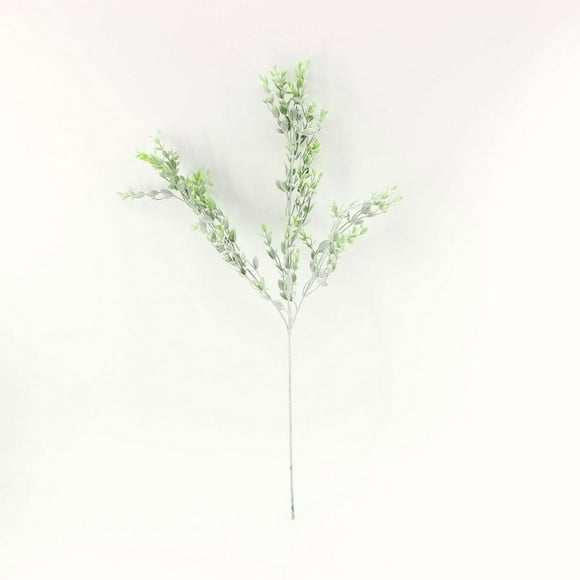 Lerman Decor's eucalyptus stem