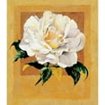 thumbnail image 3 of Unknown 12x13 Black Modern Framed Museum Art Print Titled - White Rose I, 3 of 5