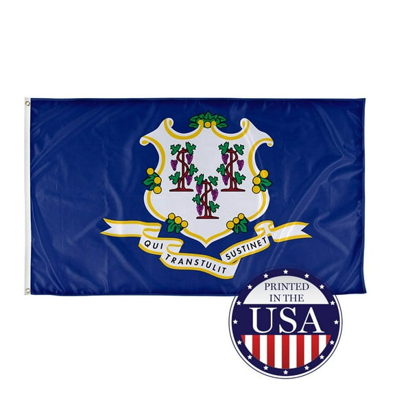 Connecticut State Flag - 3ft x 5ft Knitted Polyester, State Flag Collection, Made in The USA