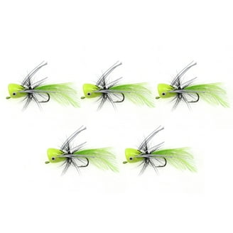 North American Fly Selection for Fly Fishing - 12 Flies - Walmart.com