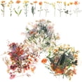 thumbnail image 4 of MasteelfCA 120pcs Flower Series Scrapbooking Decorative Plant Stickers Vintage Flower Scrapbooking Stickers, 4 of 7
