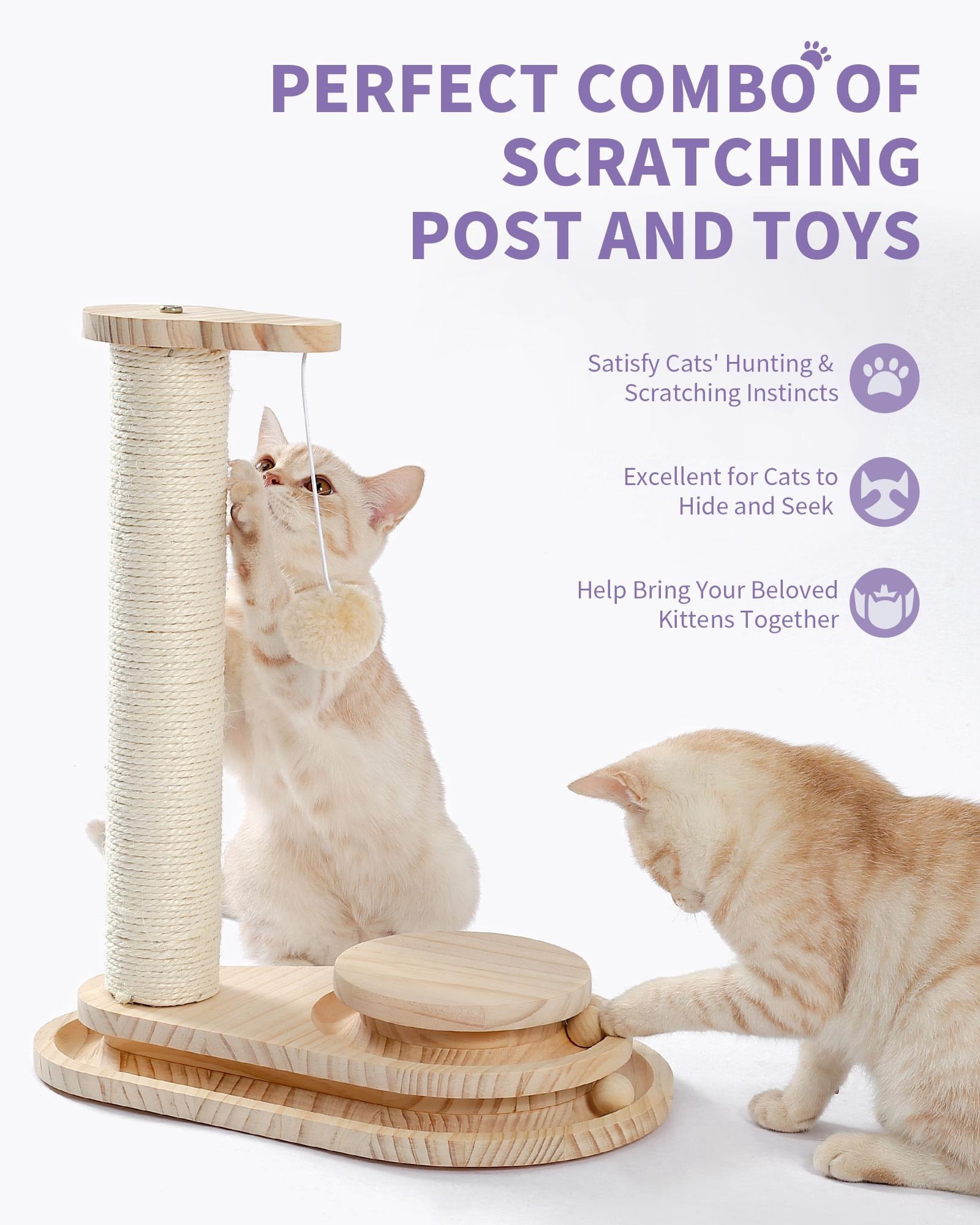Scratching Post Self Groomer Indoor Cats Cloud Soft Perch Rest 17.5" Tall Natural Sisal Scratcher Cat Grooming Interactive Ball Track Toys for Small Cats Kittens