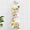 White, variant on 3 Tier Height-Adjustable Shower Caddy Hanging Hanger Anti-Swing-Over The Shower Head Caddy-Shower Storage Organizer Bathroom Shelves Basket Shower Caddies-Black,11.9" x 4.84" x 36.2"