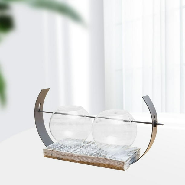 Terrario de vidrio con soporte de madera Colco jarrón hidropónico Estilo 6